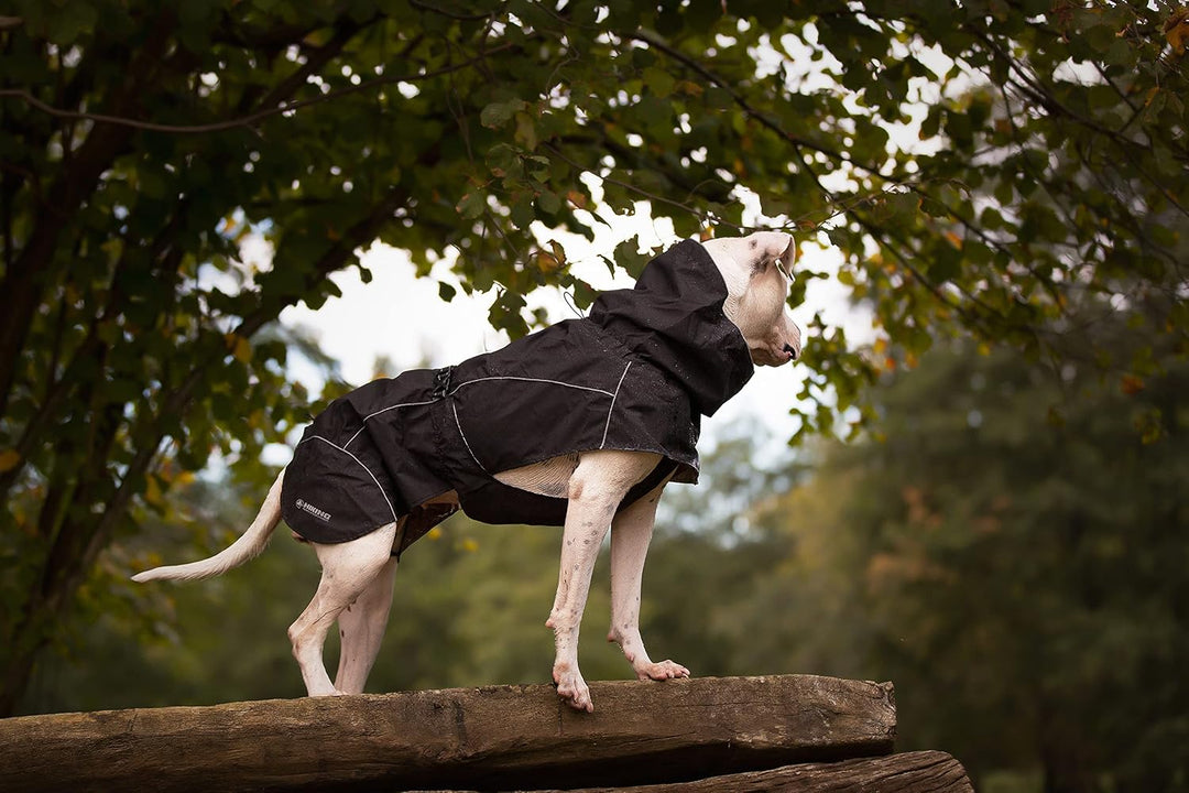 Croci Hiking Hundemantel, wasserdicht, für Hunde, Makalu, thermoregulierendes Futter, Schwarz, Gröss