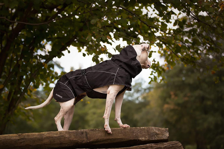 Croci Hiking Hundemantel, wasserdicht, für Hunde, Makalu, thermoregulierendes Futter, Schwarz, Gröss