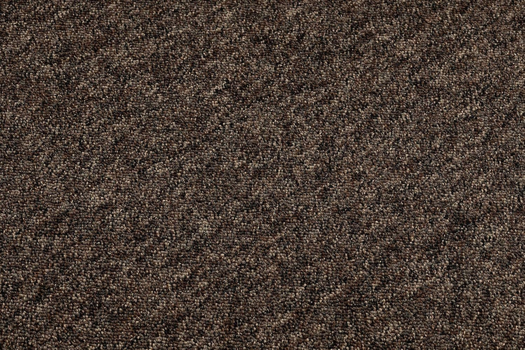 Einfarbiger empfindlich Teppich SUPERSTAR 888 für Zimmer, Wohnzimmer, Schlafzimmer, Teppichboden Aus