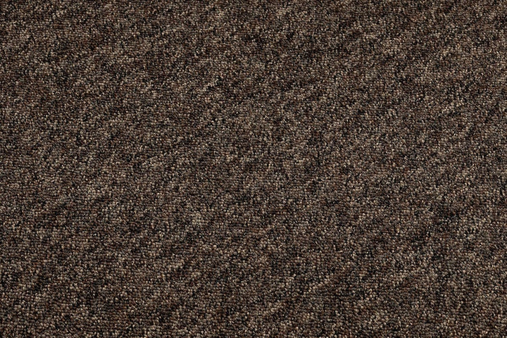 Einfarbiger empfindlich Teppich SUPERSTAR 888 für Zimmer, Wohnzimmer, Schlafzimmer, Teppichboden Aus