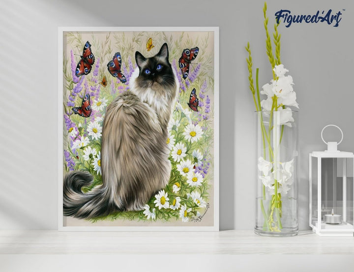 Figured'Art Malen Nach Zahlen Erwachsene Mit Rahmen Katze und Schmetterlinge - Paint by Numbers Bast