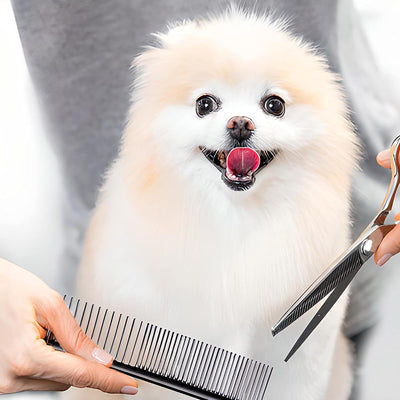 Retoo Hundeschermaschine Schermaschine mit LED-Anzeige Haarschneidemaschine an Gesicht, Ohren, Augen