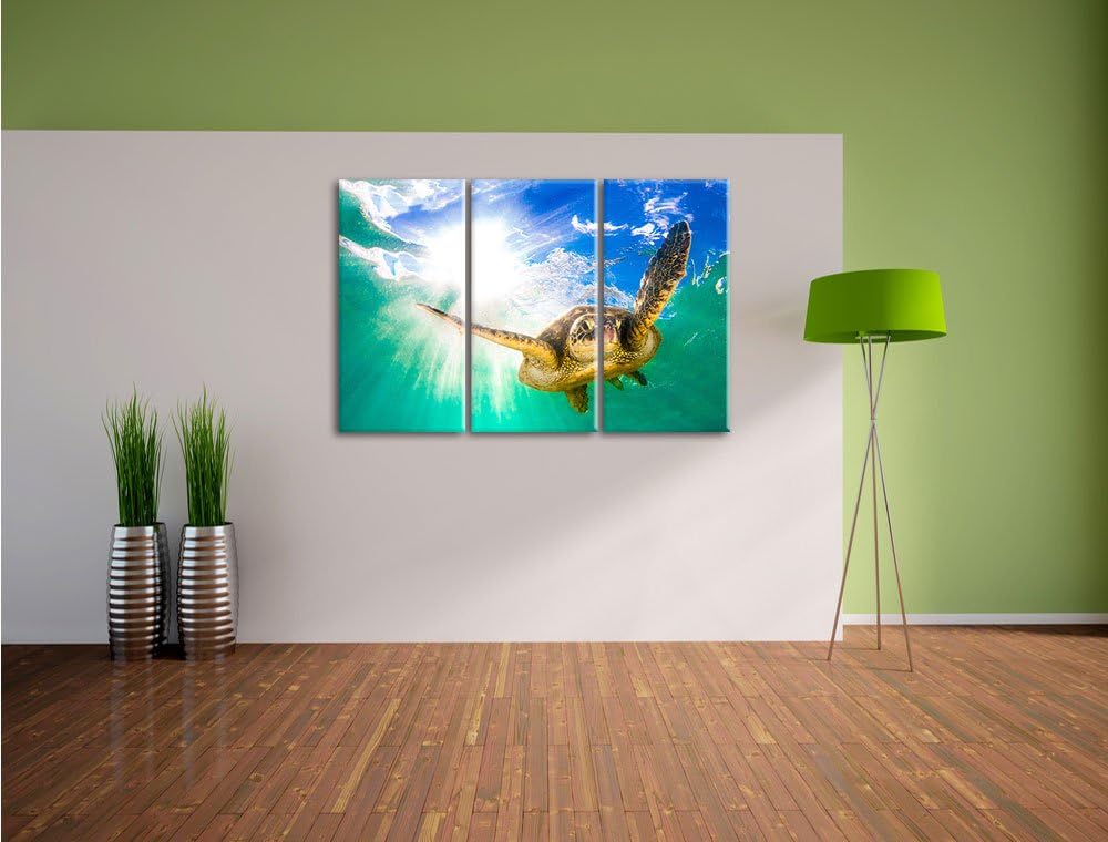 Pixxprint Grüne Meeresschildkröte als Leinwandbild | Grösse: 3 Teilig (120x80) | Wandbild| Kunstdruc
