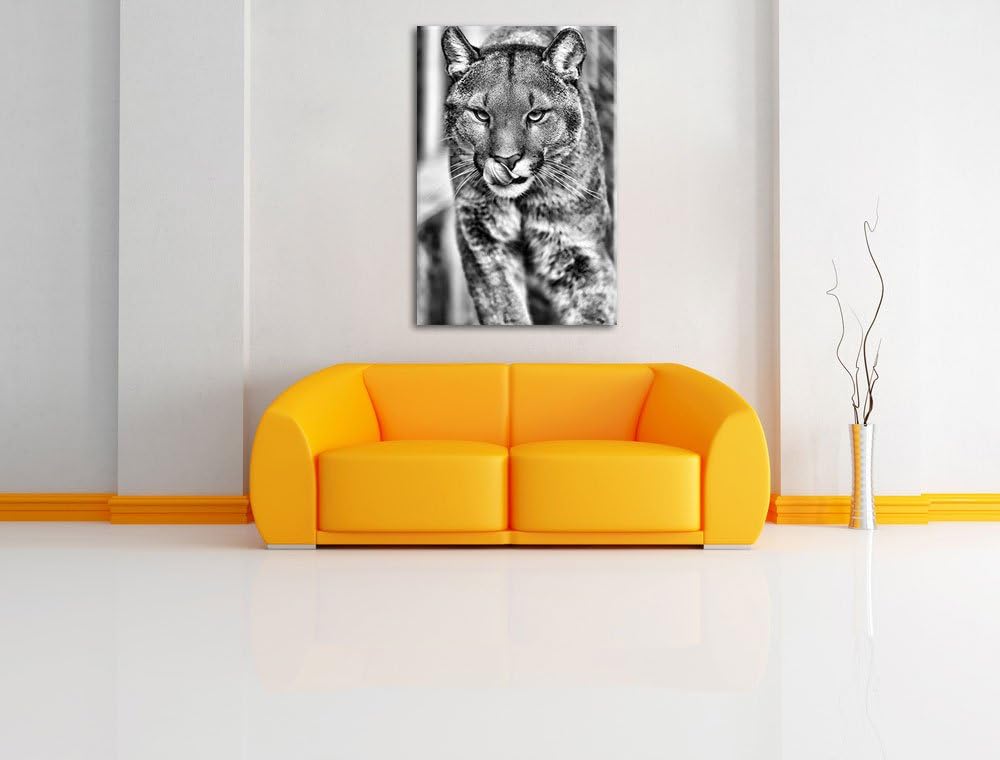 Monocrome, anmutiger Puma, Format: 100x70 auf Leinwand, XXL riesige Bilder fertig gerahmt mit Keilra