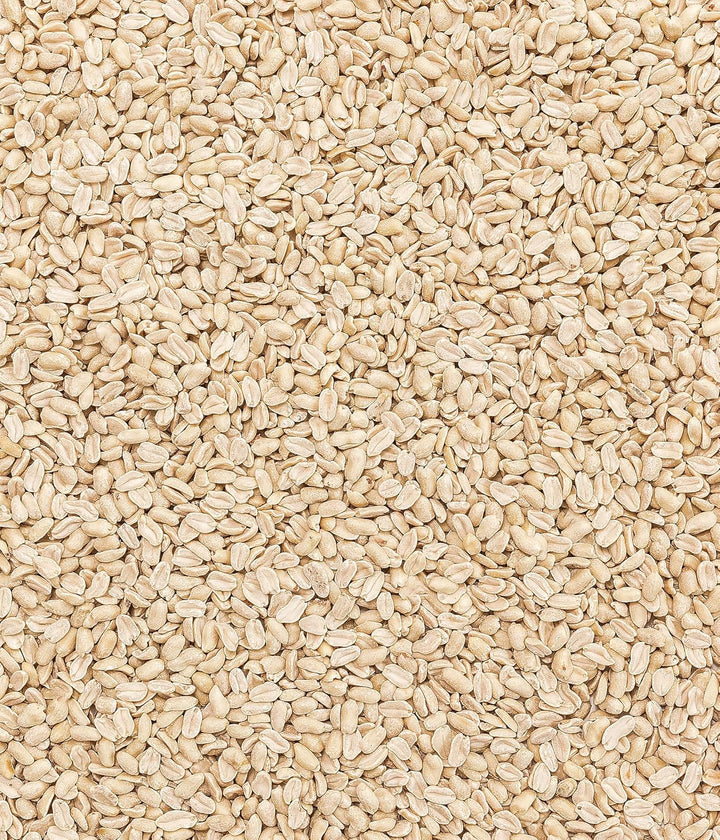 Dehner Natura Wildvogelfutter, halbe/ganze Erdnüsse, 10 kg halbe/ganze Erdnüsse 10 kg (1er Pack), ha