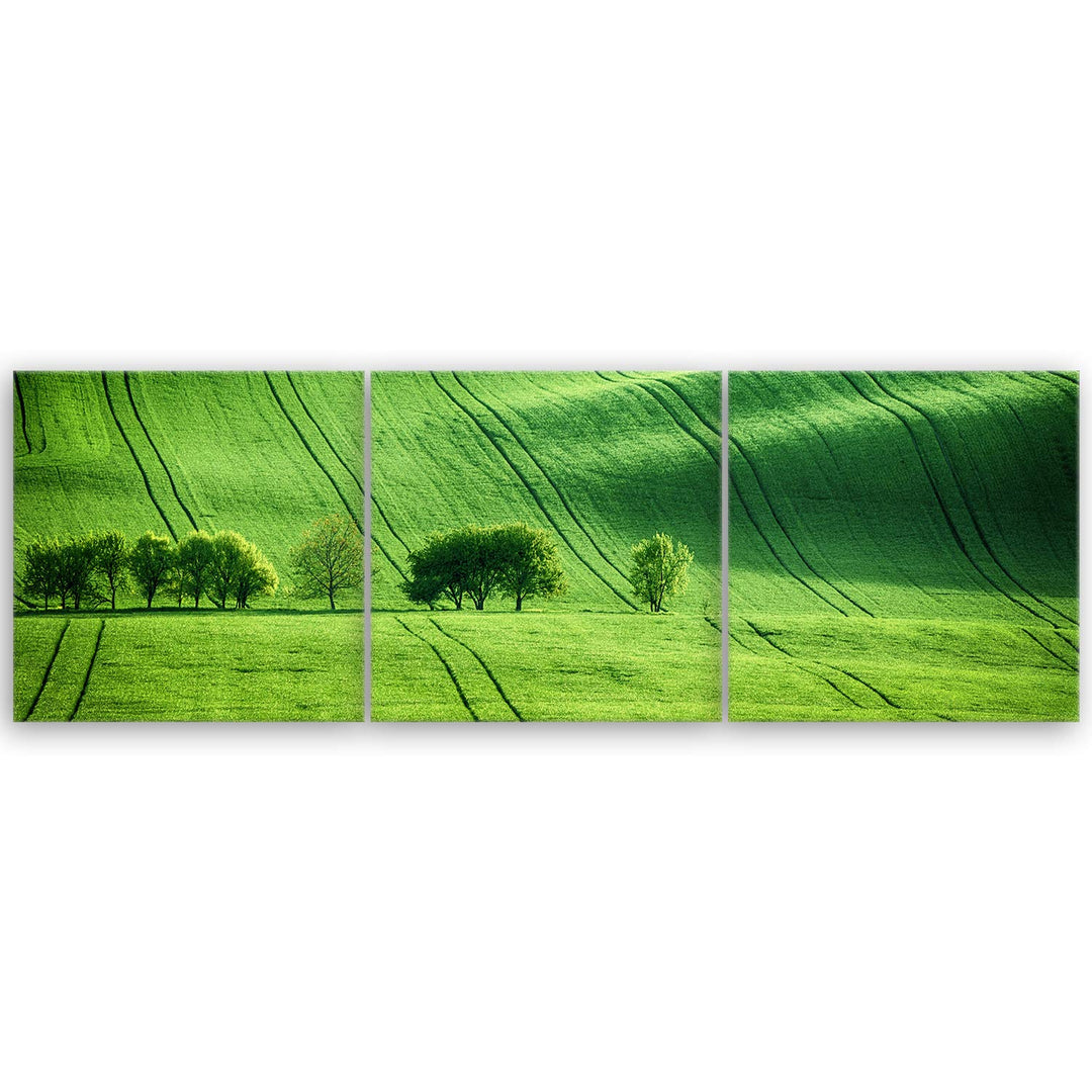 ge Bildet Bild auf Leinwand | Landschaftsbilder - green landscape - Tschechische Rep. O in 120x40 cm