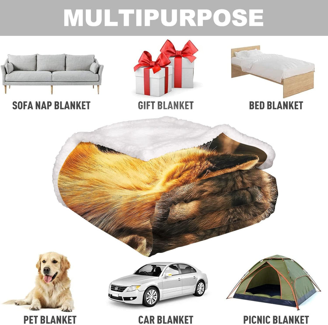 Zomer Sherpa Decke 150 x 200 cm Kuscheldecke Flauschige Wohndecken Mikrofaser Superweiche warme für