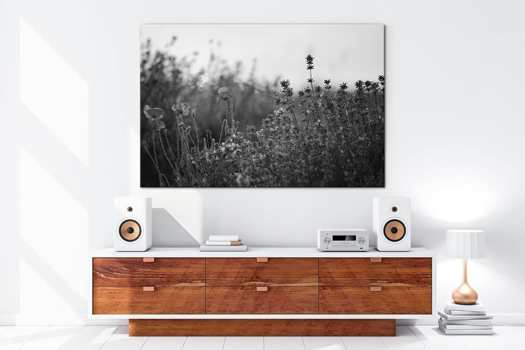 deyoli blühender Lavendel und Mohn Effekt: Schwarz&Weiss Format: 80x60 als Leinwandbild, Motiv ferti