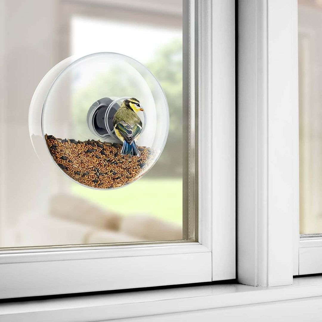 EVA SOLO | Fenster-Futterkugel Gross | Man kommt der Vogelwelt ganz nah; kleine Vögel können sich pr