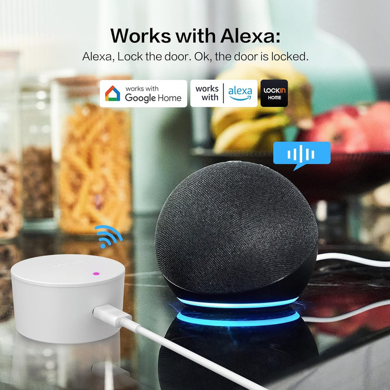 Lockin Smartes Türschloss G30 mit Keypad Pro, WLAN & App-Steuerung, Auto-Lock, Alexa- & Google-kompa