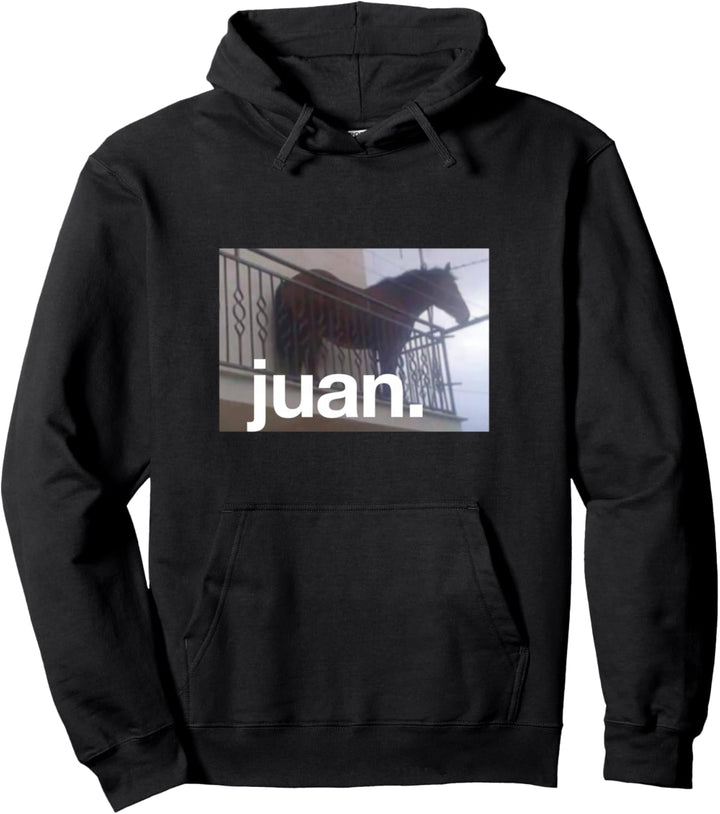Juan Meme Horse On Balcony Meme Pullover Hoodie