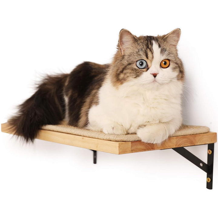 FUKUMARU Kletterwand Katzen, Katzenbett Wand aus 2cm dickem massivem Gummiholz mit widerstandsfähige