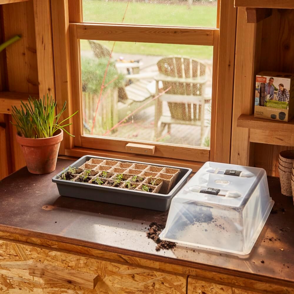 Siena Garden Zimmergewächshaus M 38x24x18 cm, anthrazit