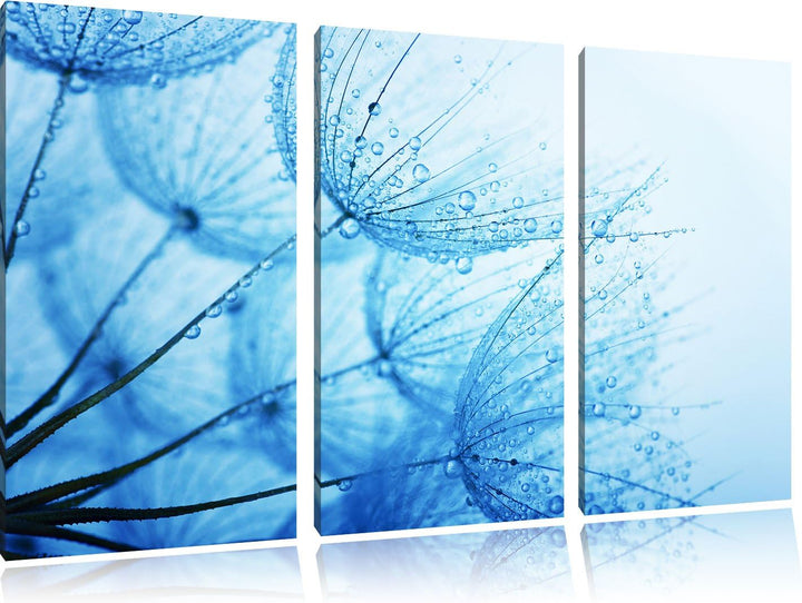 Pixxprint Tropfen bedeckte Pusteblumen 3-Teiler Leinwandbild 120x80 Bild auf Leinwand