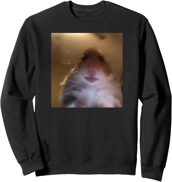 Hamster starrt in die Front Camera I Internet Hamster Meme Sweatshirt