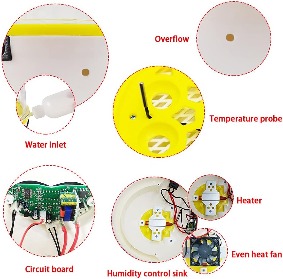 PAIDUOJI Home Use 9 Eier Inkubator Automatische Temperaturregelung Digitale Mini-Eierbrut Automatisc