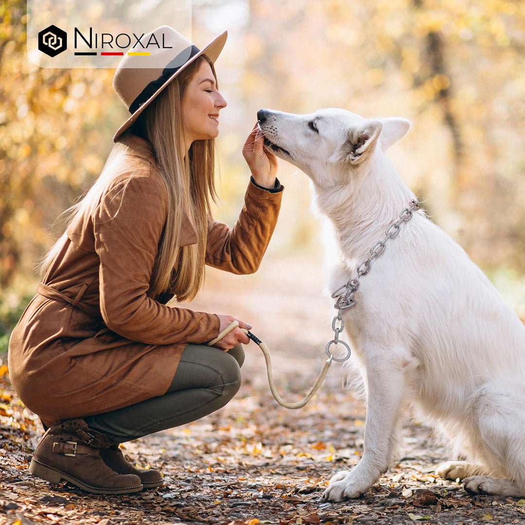 rostfreie Kombikette für Hunde - das ORIGINAL mit Zugstop - Edelstahl Hundekette Kettenhalsband lang