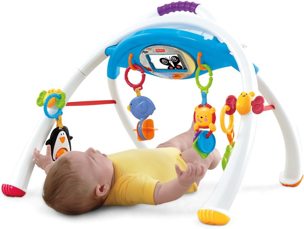 Fisher-Price Mattel Y4476 Apptivity Gym