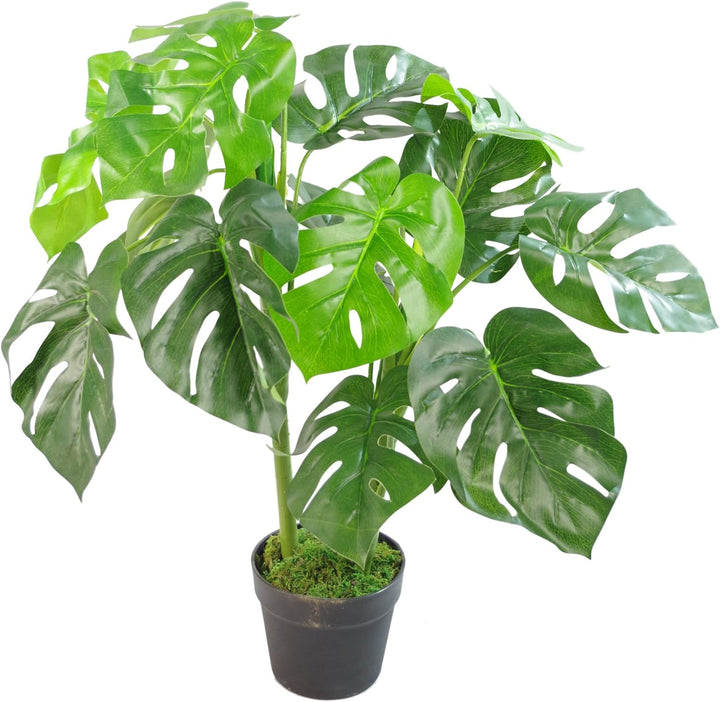 Leaf Künstliche Pflanze mit Blättern, Schwarz, 80 cm Monstera, 80cm LEAF-7151 80cm Monstera 80 Cm Mo
