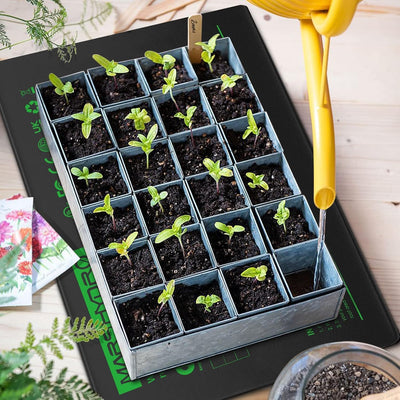 MARS HYDRO Heizmatte Pflanzen mit Thermostat für gärbox Terrarium,Wärmematte Pflanzen für Sämlinge G