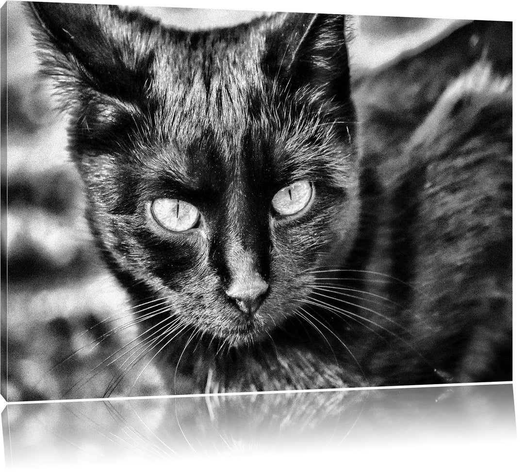 Monocrome, schwarze Katze, Format: 100x70 auf Leinwand, XXL riesige Bilder fertig gerahmt mit Keilra