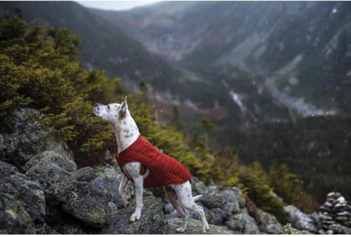 Kurgo Loft Hundejacke, Mit Hundegeschirr kombinierbar, Wasserdicht und reflektierend, Ideal für den
