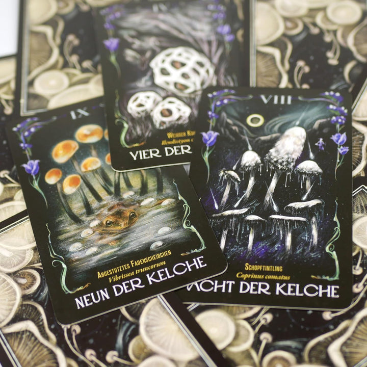 Mitternachtsmagie der Pilze: Das Tarotdeck des Waldes. Entdecke die geheimnisvolle Welt der Pilze in