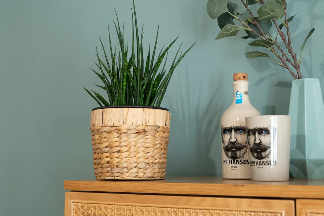 Decorasian 3er Set Blumentopf rund geflochten aus Seegras mit Kunststoffeinsatz zum bepflanzen - Pfl