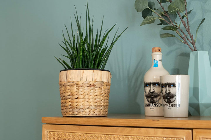Decorasian 3er Set Blumentopf rund geflochten aus Seegras mit Kunststoffeinsatz zum bepflanzen - Pfl
