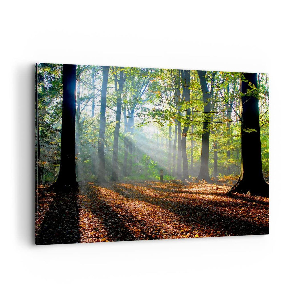 Bilder auf Leinwand 100x70cm Leinwandbild mit Rahmen Wald Blätter Sonne Gross Wanddeko Bild Schlafzi