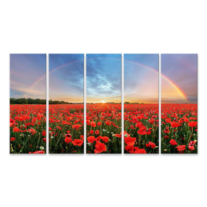 islandburner Bild auf Leinwand Regenbogen Landschaft Über Mohnfeld Bilder Wandbilder Poster Leinwand