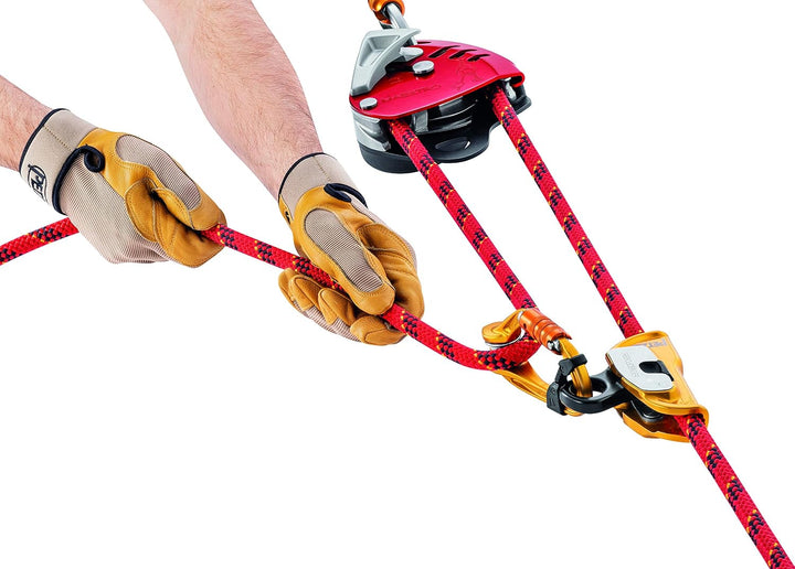 Descender Maestro L