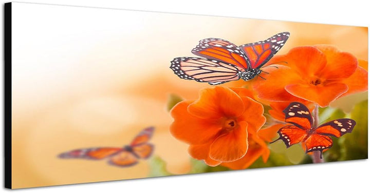 Paul Sinus Art Panoramabild auf Leinwand und Keilrahmen 150x50cm Primel Blumen Schmetterlinge Sonnen