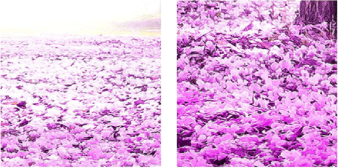 Runa Art Bild Schlafzimmer Wohnzimmer Wald Landschaft 5 Teilig Natur Violett Wandbilder auf Vlies Le