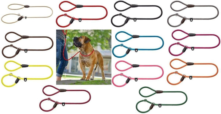 HUNTER Retriever-Hundeleine FREESTYLE, Farbe: beige, integrierte Halsung, stufenlos verstellbar, wit