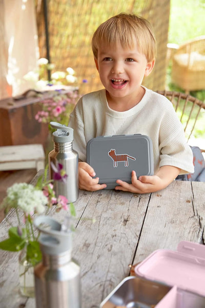 LÄSSIG Kinder Brotdose Edelstahl Lunchbox Frühstücksbox Nachhaltig Kindergarten Schule/Safari Tiger,