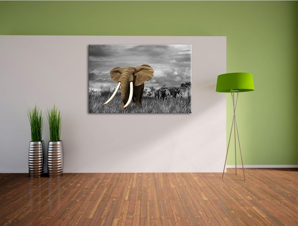 Elefanten in der Savanne schwarz/weiss Format: 100x70 auf Leinwand, XXL riesige Bilder fertig gerahm