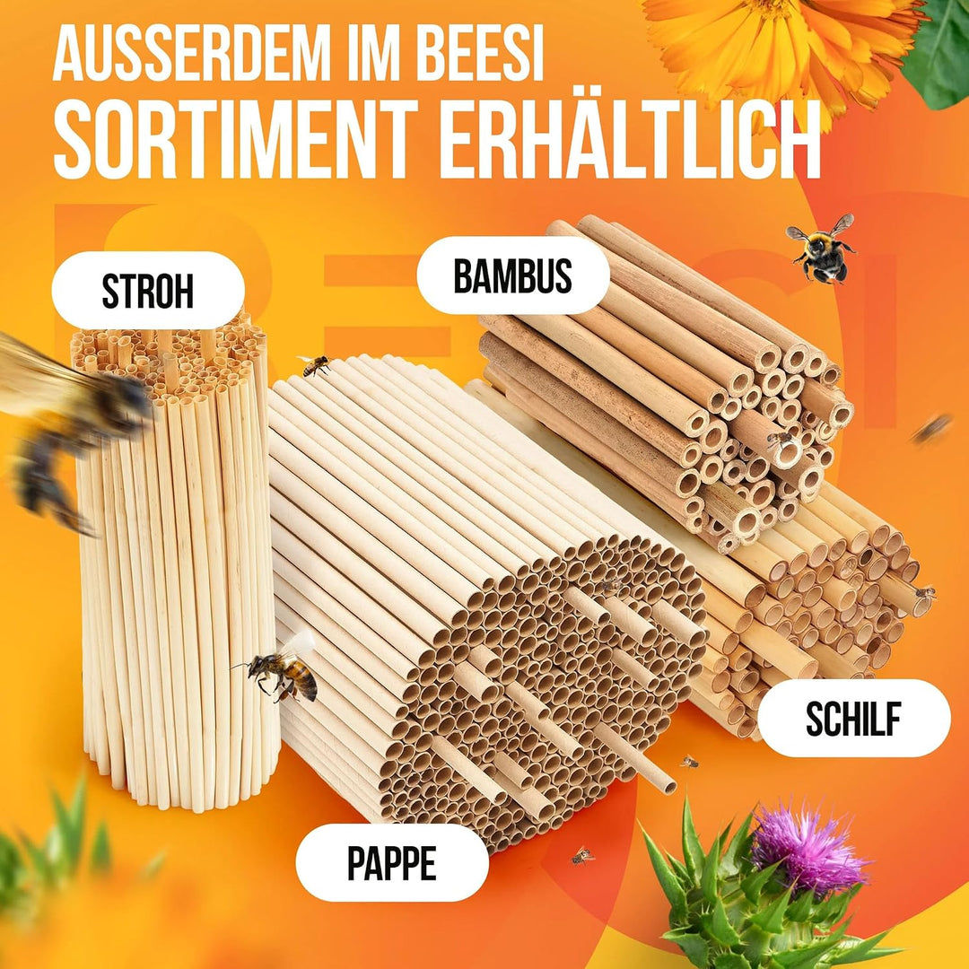 Beesi Bambusröhrchen für Insektenhotel 100 Stück 10cm Länge I Insektenhaus für Wildbienen I Wildbien