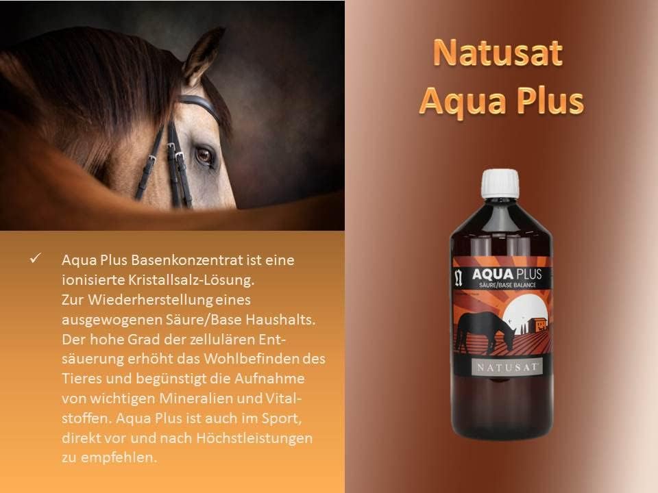 Natusat Aqua Plus - Pferdemuskeln, Pferdeleistung, Säure-Basenhaushalt Pferde und Hunde, 1000 ml