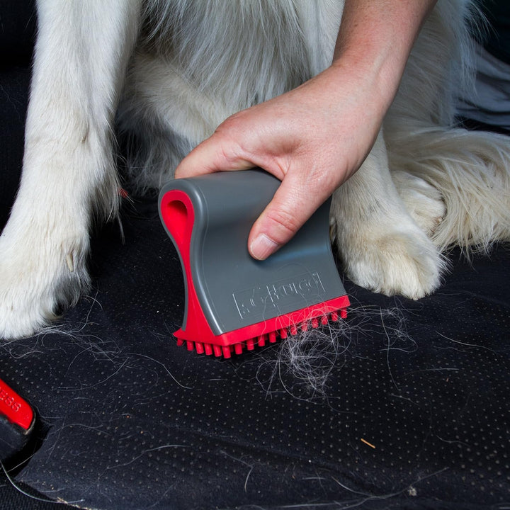 Kurgo Shed Sweeper - Hundehaarenentferner für Auto, Teppich und Polster - Leichte Silikonbürste - Wi