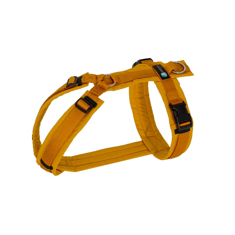 Anny-X Brustgeschirr Fun Goldglöckchen | Hundegeschirr Grösse S (Brustumfang 52-64 cm), S