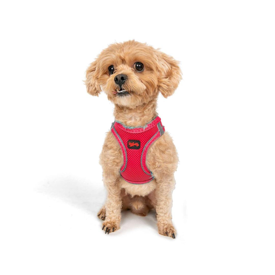 TAİLPETZ AM - HUNDEGESCHIRR (2XS, Neon-Pink) Neonpink 2XS (Brustumfang 30,5–33 cm), Neonpink 2XS (Br