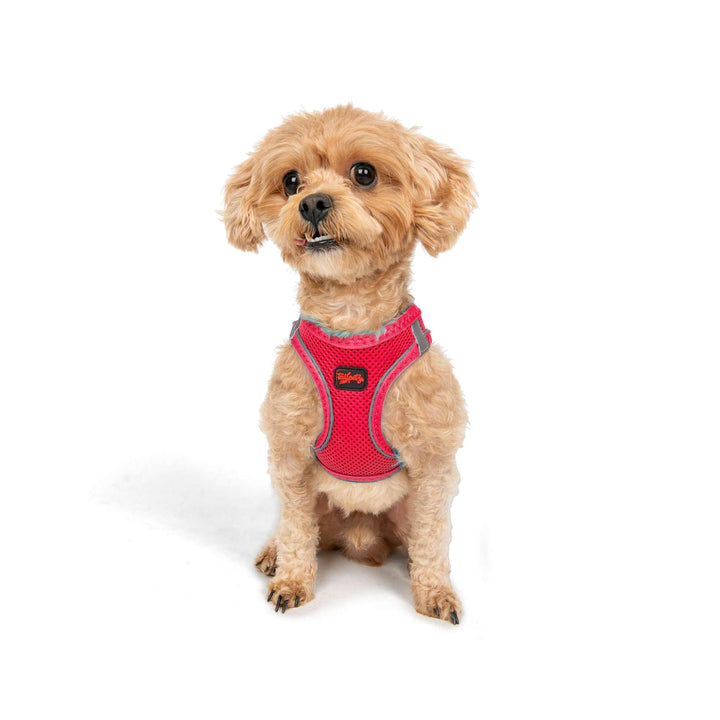 TAİLPETZ AM - HUNDEGESCHIRR (2XS, Neon-Pink) Neonpink 2XS (Brustumfang 30,5–33 cm), Neonpink 2XS (Br