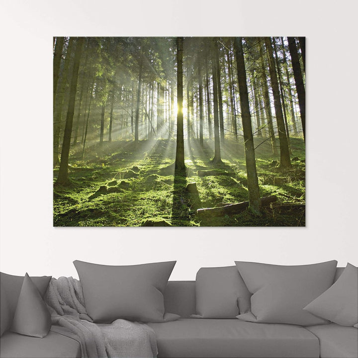 Glasbilder Wandbild Glas Bild einteilig 50x50 cm Quadratisch Natur Wald Landschaft Sonne Bäume Moos