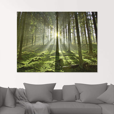 Glasbilder Wandbild Glas Bild einteilig 60x80 cm Hochformat Natur Wald Landschaft Sonne Bäume Moos F