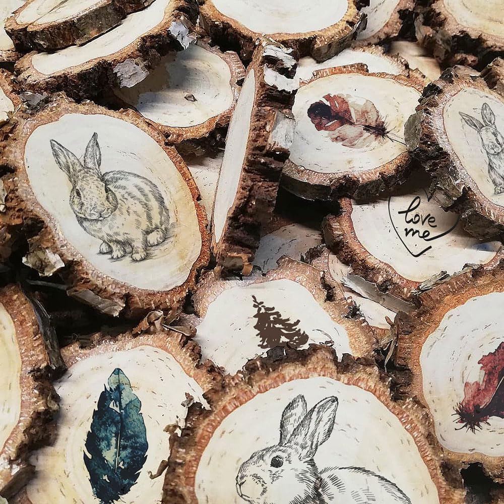 Birkenholzscheibe für DIY-Projekte & Dekoration – unbehandelt, gereinigt, naturbelassen, mit Rinde –