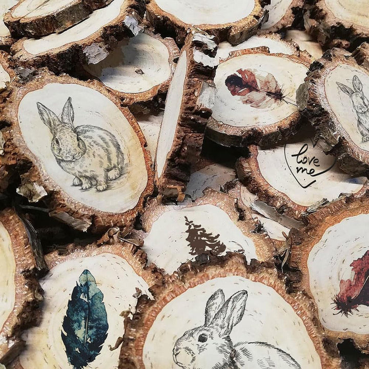 Birkenholzscheibe für DIY-Projekte & Dekoration – unbehandelt, gereinigt, naturbelassen, mit Rinde –