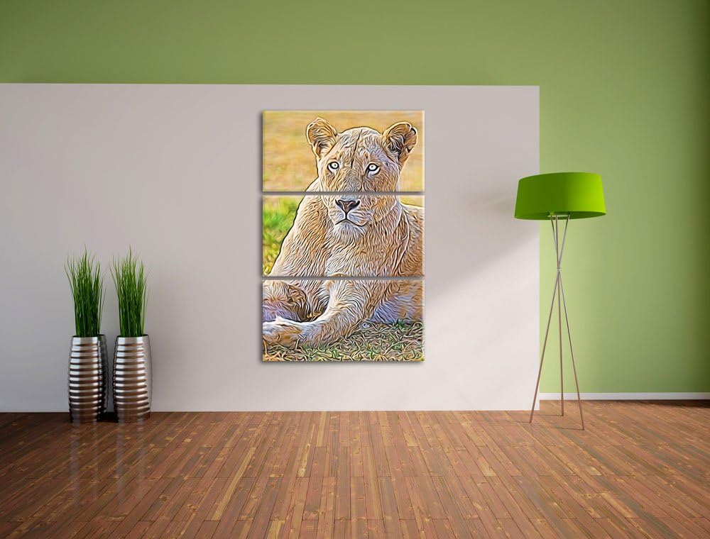 prächtige weisse Löwin Spezial 3-Teiler Leinwandbild 120x80 Bild auf Leinwand, XXL riesige Bilder fe