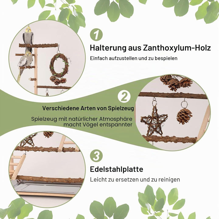 Vogelspielplatz Wellensittich Spielplatz Spielzeug, Grosser vogel Spielplatz mit Schaukel Sitzstange