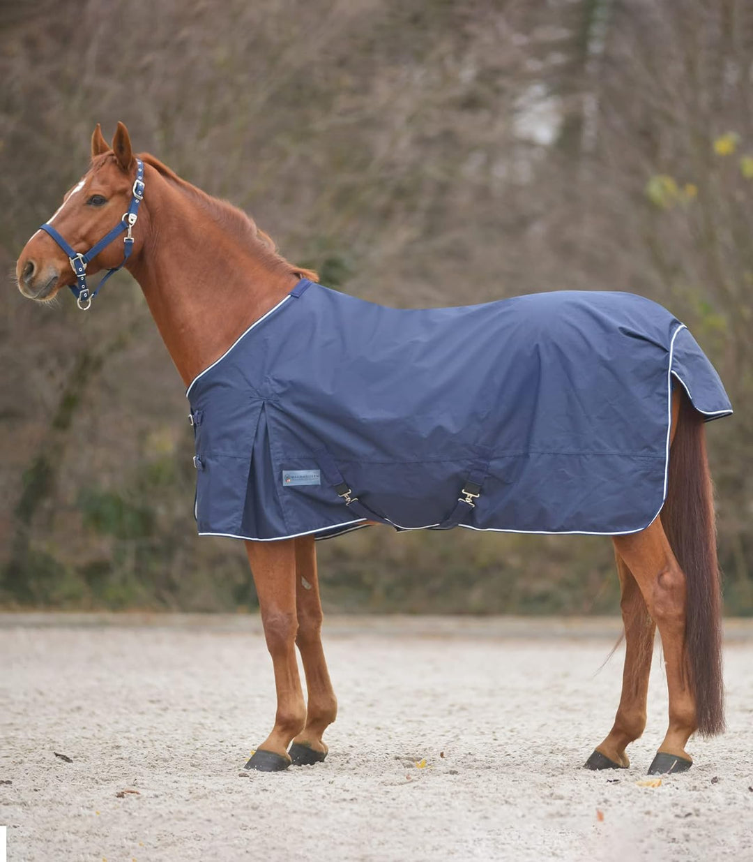 WALDHAUSEN Comfort Regendecke mit Kreuzbegurtung, Nachtblau, 145 cm, 145 cm, blau marine 145 cm (1er
